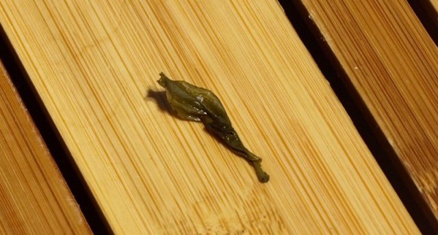 A green gunpowder tea leaf 