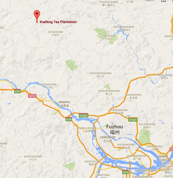 Xuefeng Tea Plantation