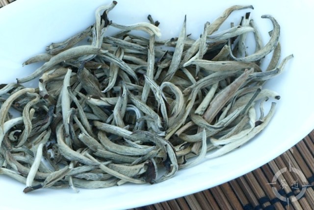 Silver Needle tea