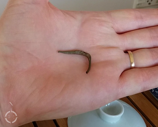 a silver needle tea bud