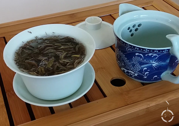 silver needles tea steeping