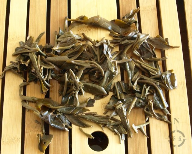 2015 What-Cha Lao Shu Bai Cha - finished leaf