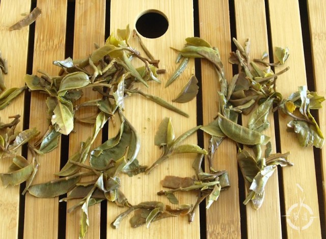 Runglee Rungliot Forest Honey FF - finished leaf