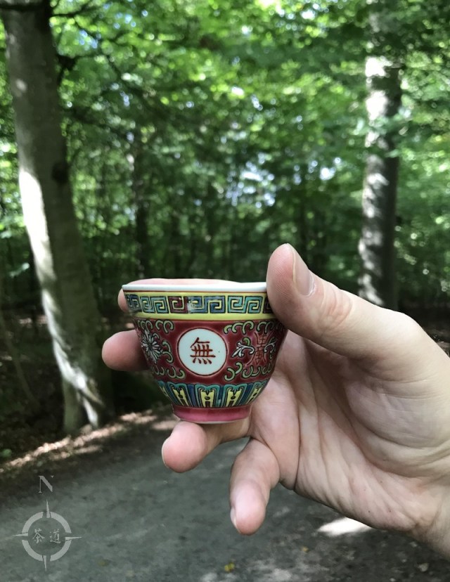 Torup picnic - cup and trees