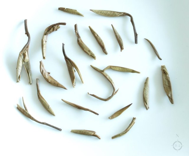 Simply Tea 2016 White Dragon Whiskers Tribute - used leaf