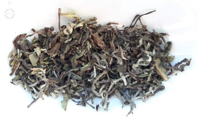 Singbulli Oolong - dry leaf