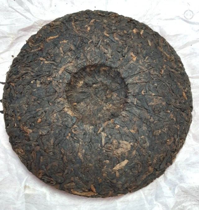 HOT old tree shou - dry leaf