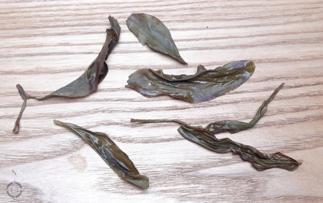 Feng Huang Da Wu Ye Dancong - used leaves