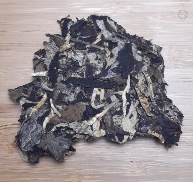 moonlight white 5 years - dry leaf