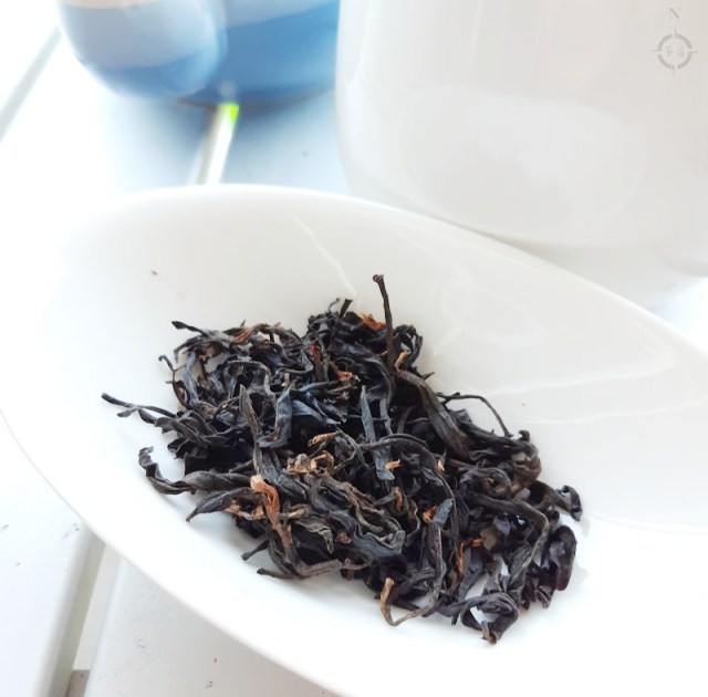 slshc balcony - leaves