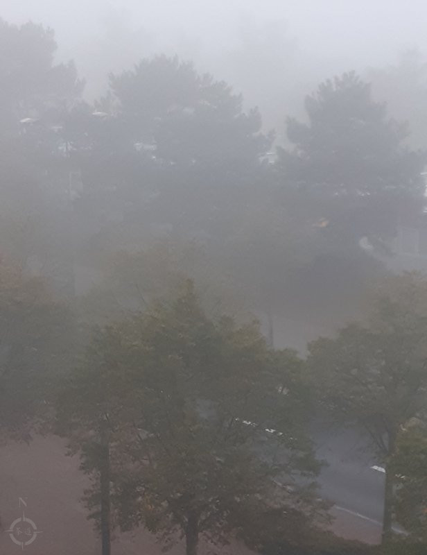 forever autumn - a foggy morn