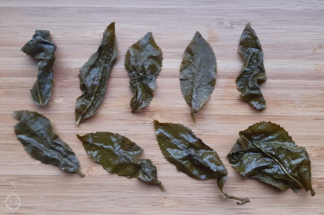 Moychay Alishan Qing Xiang Gaba - used leaves 2